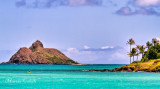 NA MOKULUA_8345.jpg