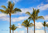 IT'S A BEAUTIFUL DAY IN PARADISE -0022.jpg