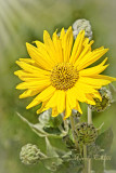 IT'S A BRAND NEW DAY-5862.jpg