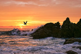 CABO SUNRISE_6576.jpg