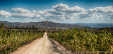 Guadalupe Valley