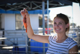 Tuna Harbor Fish Market