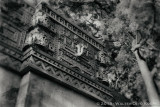 Mayan Ruins