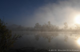 One Hundred Views of a Lake