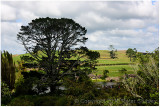 New Zealand, 2018
