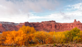 Fall Color Display - Courthouse Wash