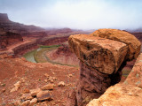 Along the Shaffer Trail