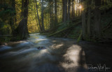 Mystic Panther Creek Light