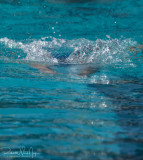 2018203-Sahuarita Swim Meet-0226.jpg