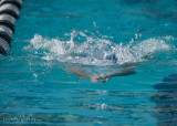 2018203-Sahuarita Swim Meet-0244.jpg