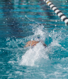 2018203-Sahuarita Swim Meet-0267.jpg