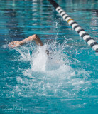 2018203-Sahuarita Swim Meet-0286.jpg