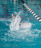 2018203-Sahuarita Swim Meet-0287.jpg