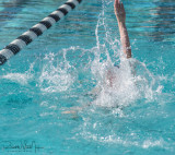 2018203-Sahuarita Swim Meet-0517.jpg
