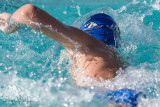 2018203-Sahuarita Swim Meet-0564.jpg