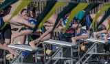 2018203-Sahuarita Swim Meet-0650.jpg
