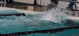 2018203-Sahuarita Swim Meet-0718.jpg