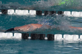 2018203-Sahuarita Swim Meet-0071.jpg