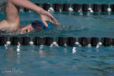 2018203-Sahuarita Swim Meet-0075.jpg