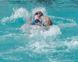 2018203-Sahuarita Swim Meet-0773.jpg