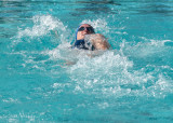 2018203-Sahuarita Swim Meet-0785.jpg