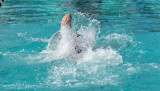2018203-Sahuarita Swim Meet-0789.jpg