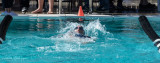 2018203-Sahuarita Swim Meet-0811.jpg