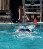 2018203-Sahuarita Swim Meet-0834.jpg