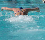 2018203-Sahuarita Swim Meet-0863.jpg