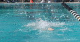 2018203-Sahuarita Swim Meet-0869.jpg