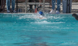 2018203-Sahuarita Swim Meet-0886.jpg