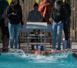 Sahuarita Swim Meet