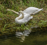 Beverley Beck IMG_8692.jpg