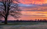 Beverley Westwood IMG_8219.jpg