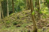 Mayan Mound
