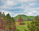 The Black Hills of Custer State Park