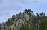 Black Hills of South Dakota