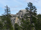 Black Hills of South Dakota
