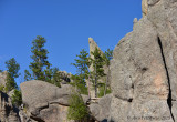 Needles Highway