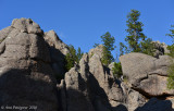Needles Highway