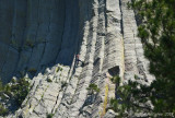 Climber on Devils Tower