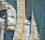 Climber on Devils Tower