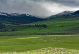 Lamar Valley