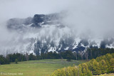 Fog in the Valley