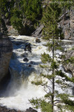 Gibbon Falls