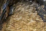  Shale and slate like sediment, from 200 million years ago, now at 2000 meters elev.