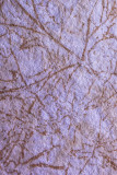 180902_29  LINES  60 MM crop micro. Formica counter leaf and twig pattern