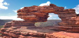 Nature's Window