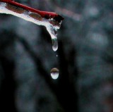 Reflection In The water Drop