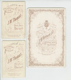 05 Victorian Young Woman CDV Cabinet Card.jpg
